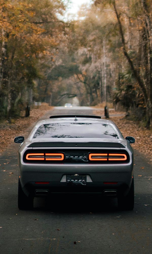 Cars Image