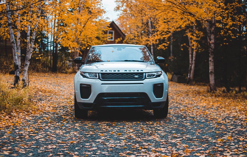 Cars Image